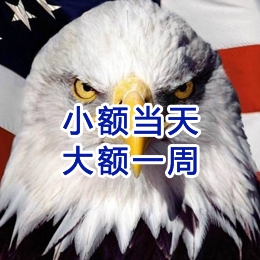 新蔡要账公司